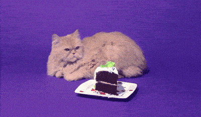 Unimpressed Happy Birthday GIF by Birthday Bot