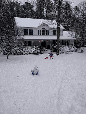 andrewchorney  GIF