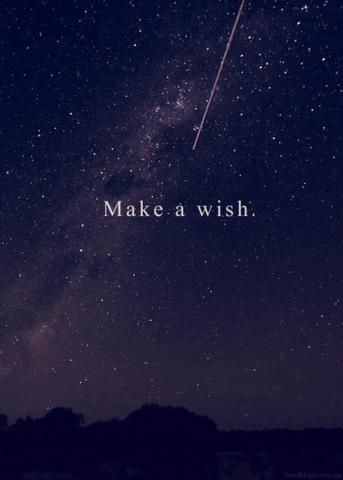 dragonfly  GIF