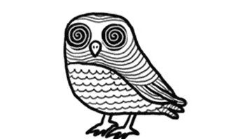 koi #hoohoohoo GIF