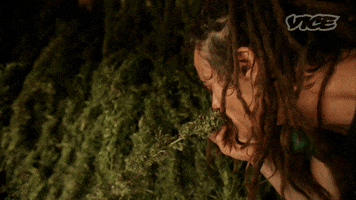 weed smelling GIF by VICE Media Spain