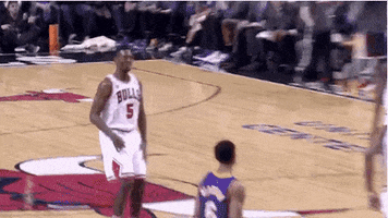 tmp bulls portis 3 hands GIF