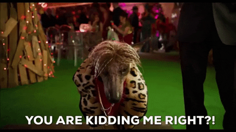 You Are Kidding Me Right GIFs - Get the best GIF on GIPHY