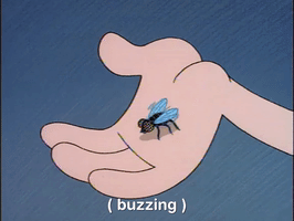 200.gif?cid=fc005b083ae34d32feb7a14f3397c018adf81389ee0a5042&rid=200.gif&ct=g