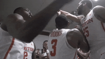 celebrate houston cougars GIF by Coogfans