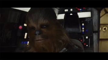 matthofmann starwars the last jedi chewbacca porg GIF