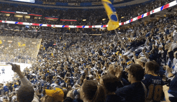 stanley cup hockey GIF by St. Louis Blues