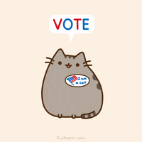 Voting Election 2020 GIF by Pusheen