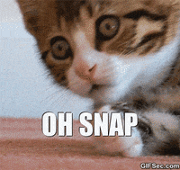 Oh-snaps GIFs - Get the best GIF on GIPHY