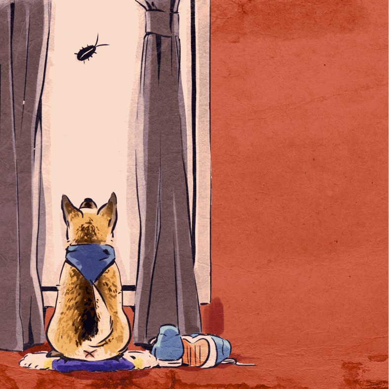 Dog Bacon GIF by Percolate Galactic Find & Share on GIPHY