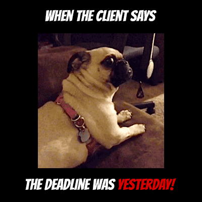 abhilashkrishnan deadline yesterday mcs my client says GIF