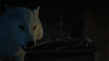 200.gif?cid=fc005b08026da9a931c4eb69f328173904af8ae505c45616&rid=200.gif&ct=g