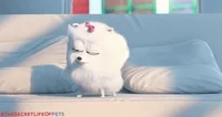 sudden realization perk up GIF by The Secret Life Of Pets