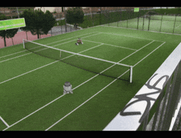 dns #r2d2 #wall-e #dns #tag #tenis GIF