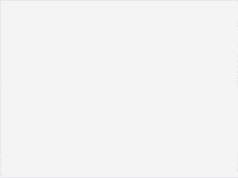 dannylabonte  GIF