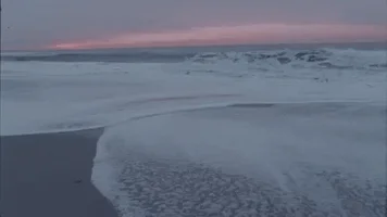 music video beach GIF by Lewis Del Mar