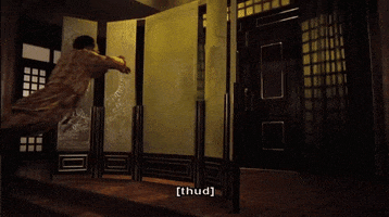 kung fu thud GIF by Warner Archive