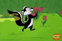 Happy Pepe Le Pew GIF by Looney Tunes