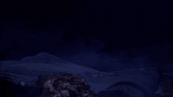clive barker GIF by Kino Lorber