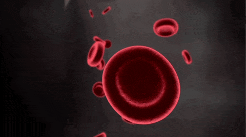 Red blood cells gif