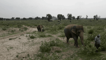 tourmyindia  GIF