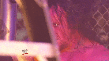 Wrestling GIF by WWE