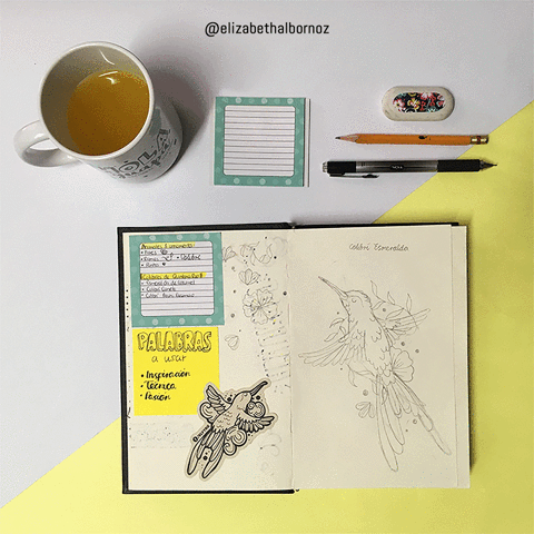 elizabethalbornozn #process #proceso #brand #elizabethalbornoz #diseÃ±adorgrÃ¡fica #mexicana #diseÃ±omexicano #marca GIF