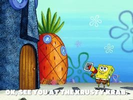 season 6 GIF by SpongeBob SquarePants