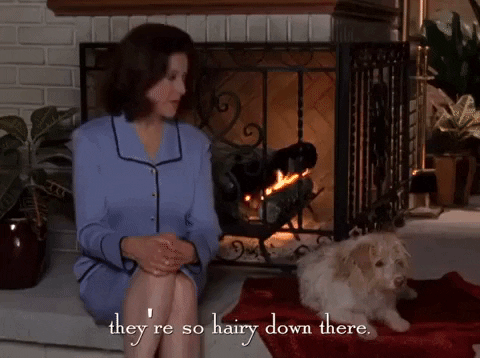 Hairy-girl GIFs - Get the best GIF on GIPHY