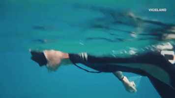 200.gif?cid=fc005b085822d0a8fa4a4f113fb166d629df9f39d75288d7&rid=200.gif&ct=g
