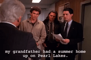 season 2 episode 3 GIF by Twin Peaks on Showtime