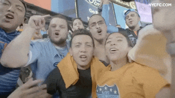 Soccer Fans GIF by NYCFC