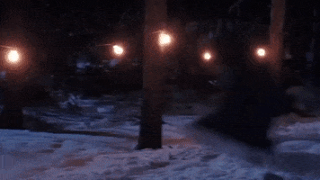 Video gif. A scene from National Lampoon's Christmas Vacation where a man sleds down a big snowy hill before hitting a ledge. He calmly flies off the ledge, the sled completely flipping, and he makes no effort to save himself, accepting his fate. 