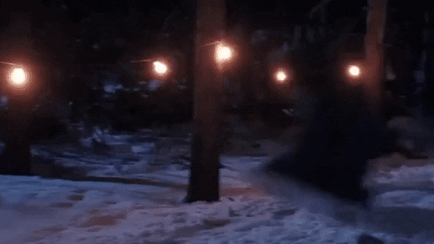 Christmas Vacation Snow GIF - Find & Share on GIPHY