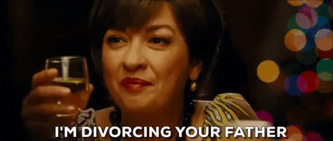 Nothing Like The Holidays Divorce GIF - Find & Share on GIPHY
