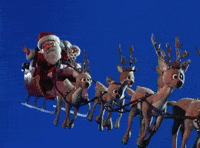 Reindeer-christmas GIFs - Get the best GIF on GIPHY