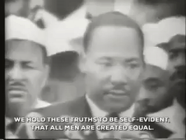 Martin Luther King Jr Constitution GIF