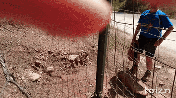 joseluisgonzalezvarela  GIF