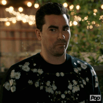 Pop Tv GIF by Schitt's Creek