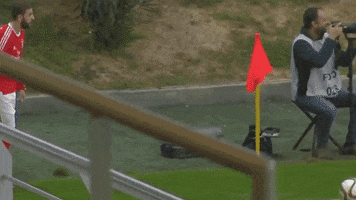 milhafreorlando kebab donner GIF