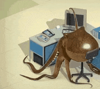 GIPHY | Search All the GIFs & Make Your Own Animated GIF