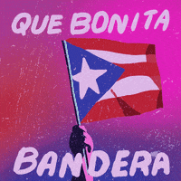Puerto Rico Flag GIF by Studios 2016