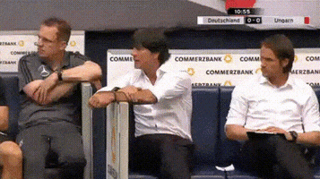 kofalvidaniel  GIF