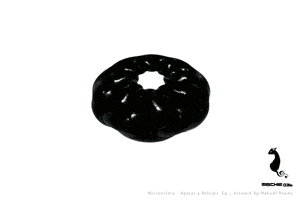 nahuelrando y relojes agujas promogif GIF