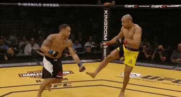 rafaelcotta ufc aldo jose aldo ufc200 GIF