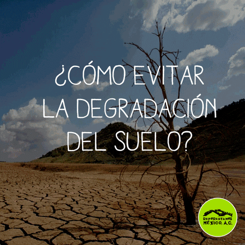 rubenhrodriguez  GIF