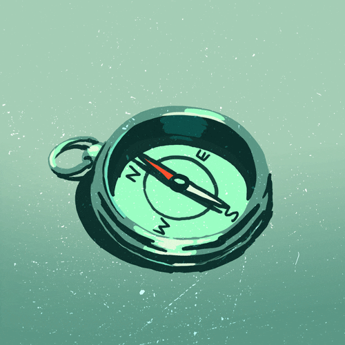 Boner Compass GIFs Get the best GIF on GIPHY