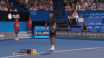 jerrykuonodjsego what wait what did you say djokovic GIF
