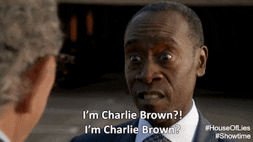 house of lies lol GIF by Showtime