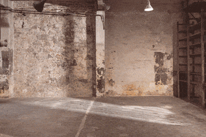 shootestudios set bedroom doglovers locations GIF